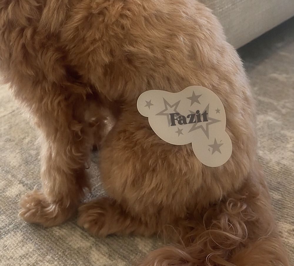 Peel & place