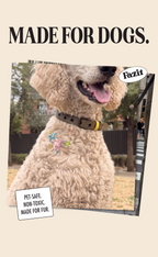 Sprinkled Star Speckles Pet Patches