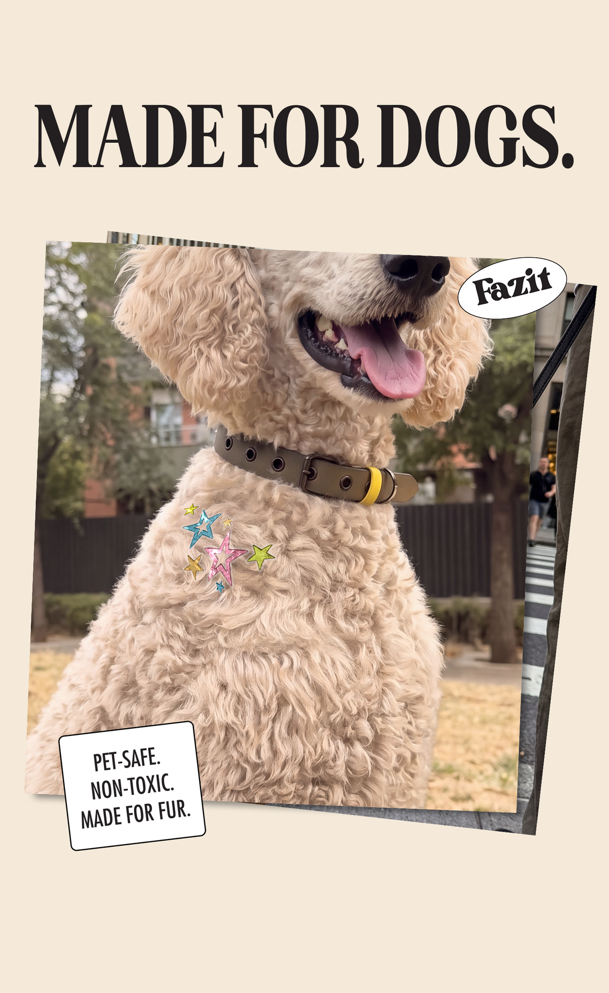 Sprinkled Star Speckles Pet Patches