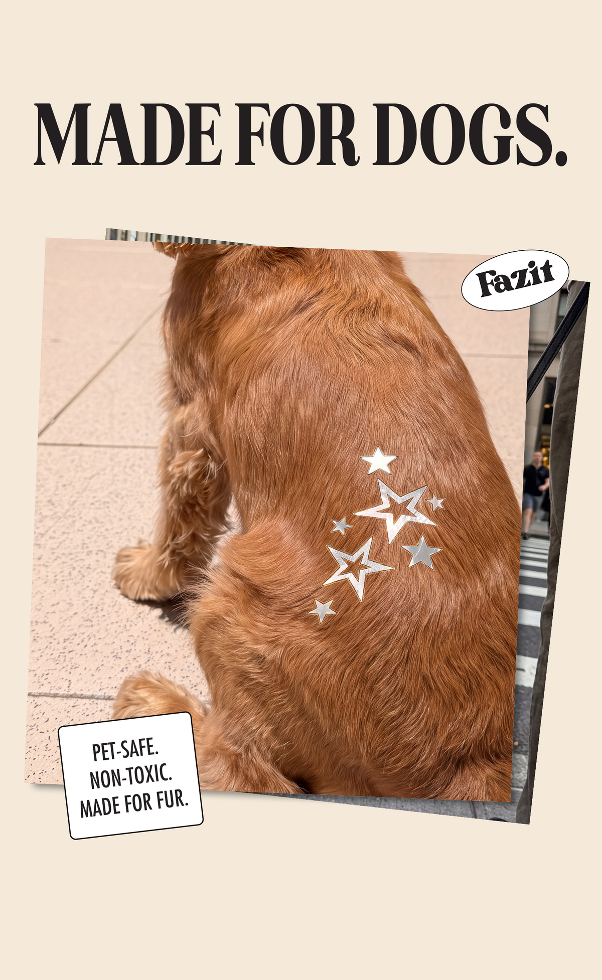 Silver Star Speckles Pet Patches