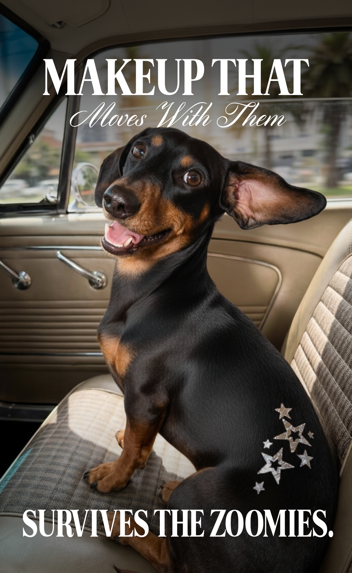 Silver Star Speckles Pet Patches
