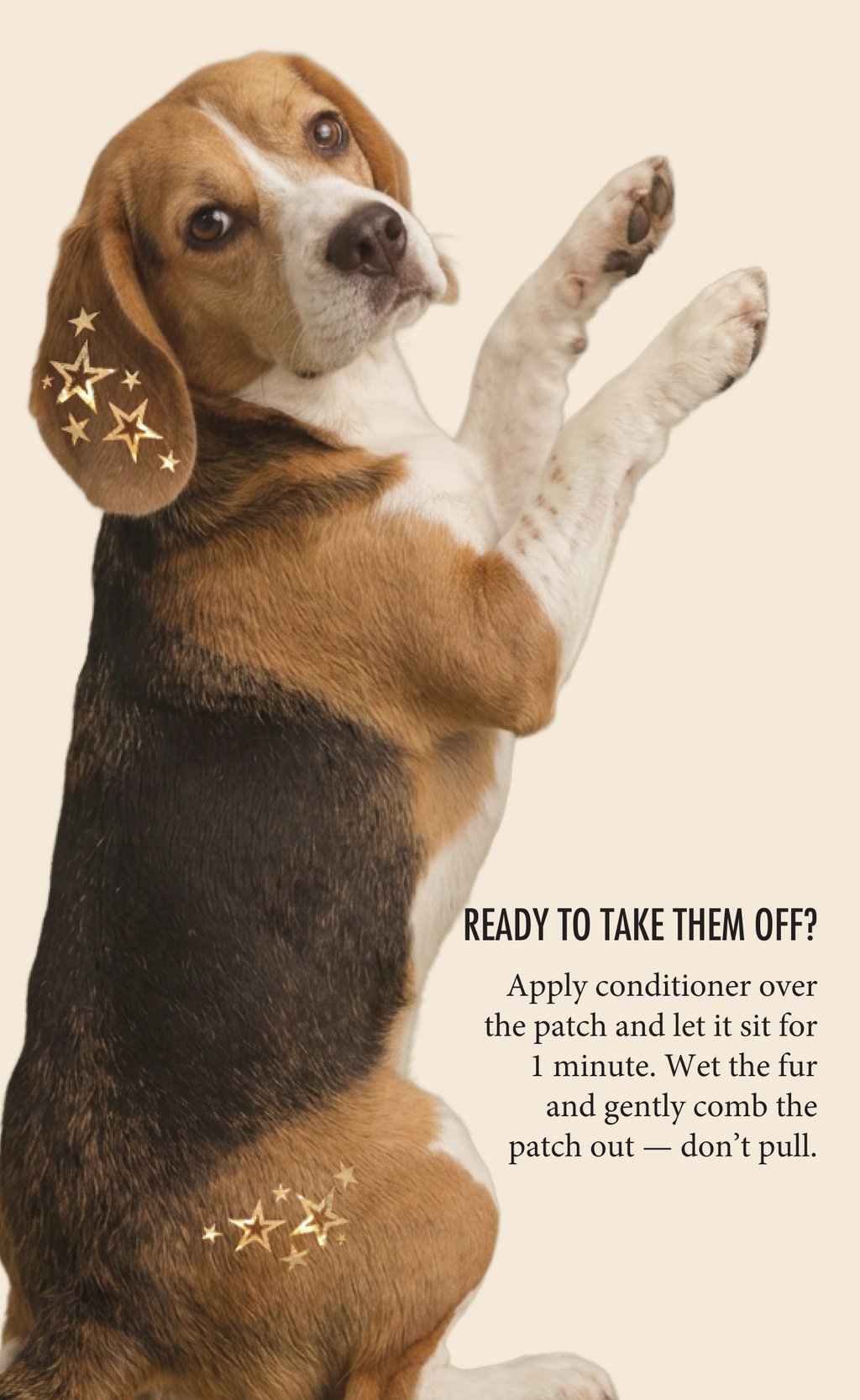 Golden Star Speckles Pet Patches
