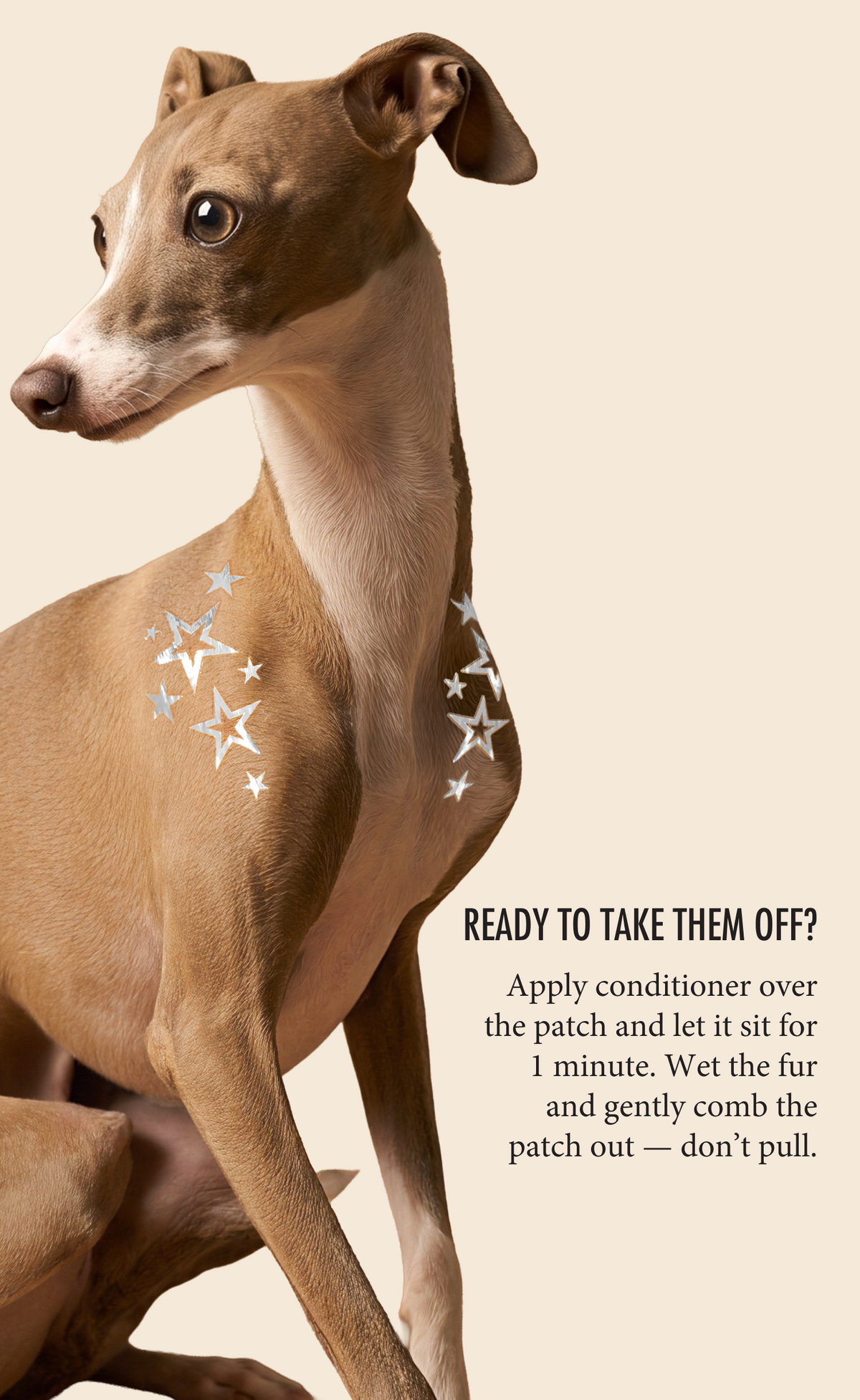 Silver Star Speckles Pet Patches
