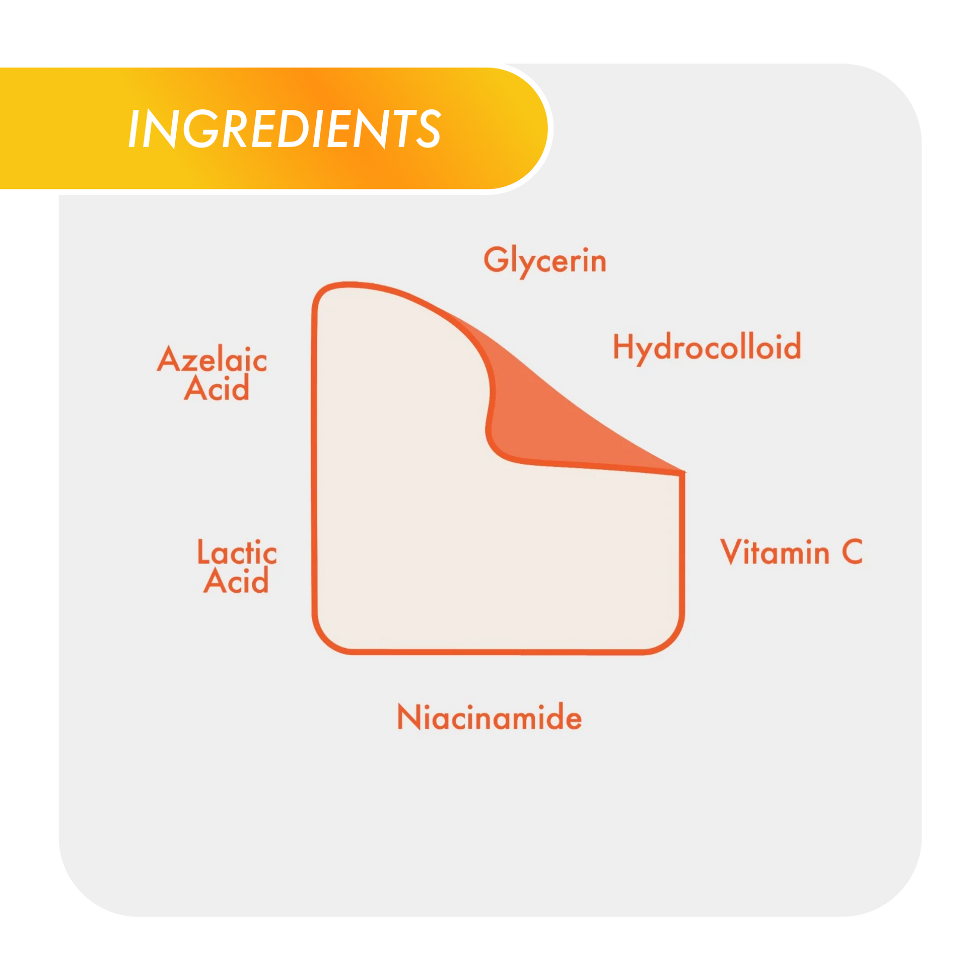 ingredient spotlight